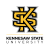 Kennesaw State Logo