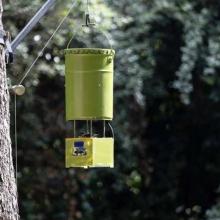 Engineering a new way to feed gorillas