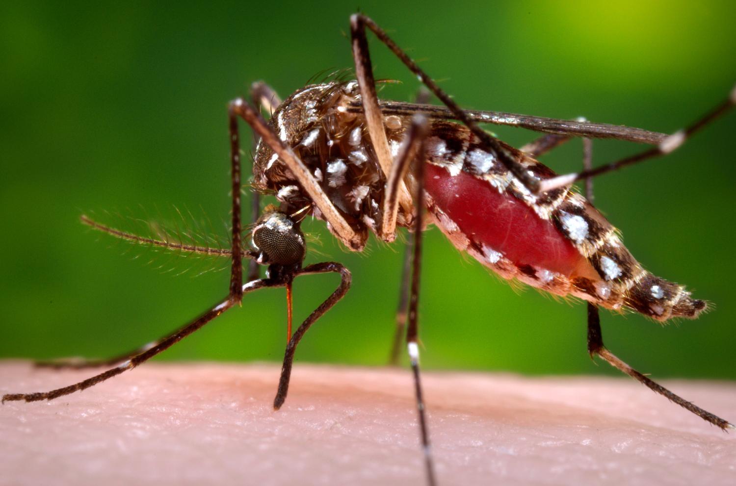 Invitation from Texas A&M - Innovate Against Zika Invitation from Texas A&M - Innovate Against Zika