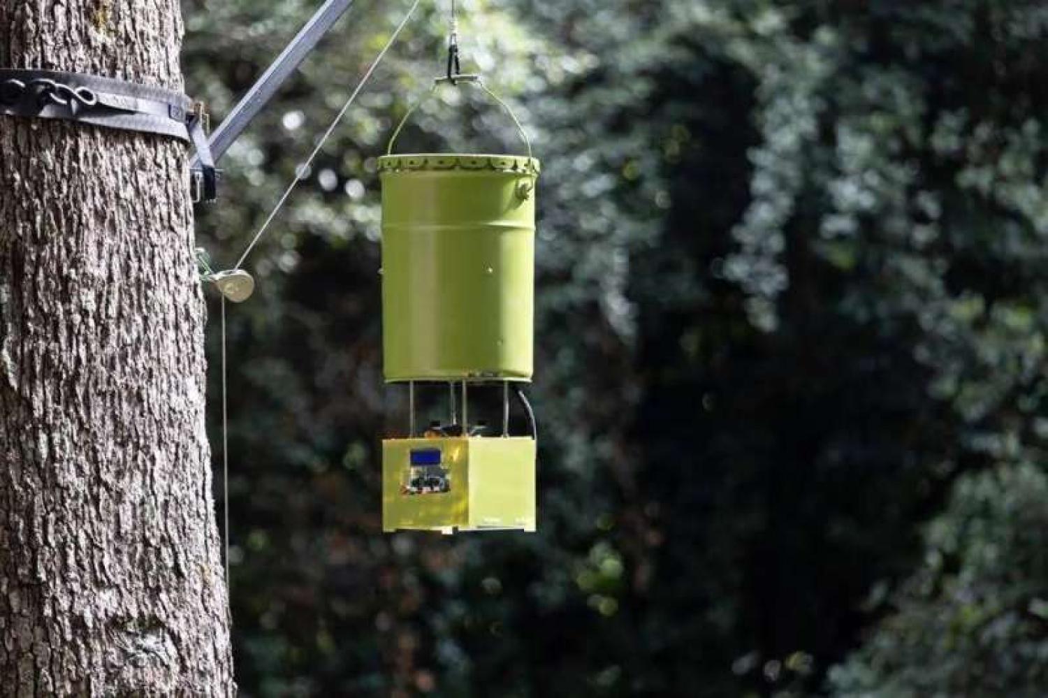 Engineering a new way to feed gorillas Engineering a new way to feed gorillas