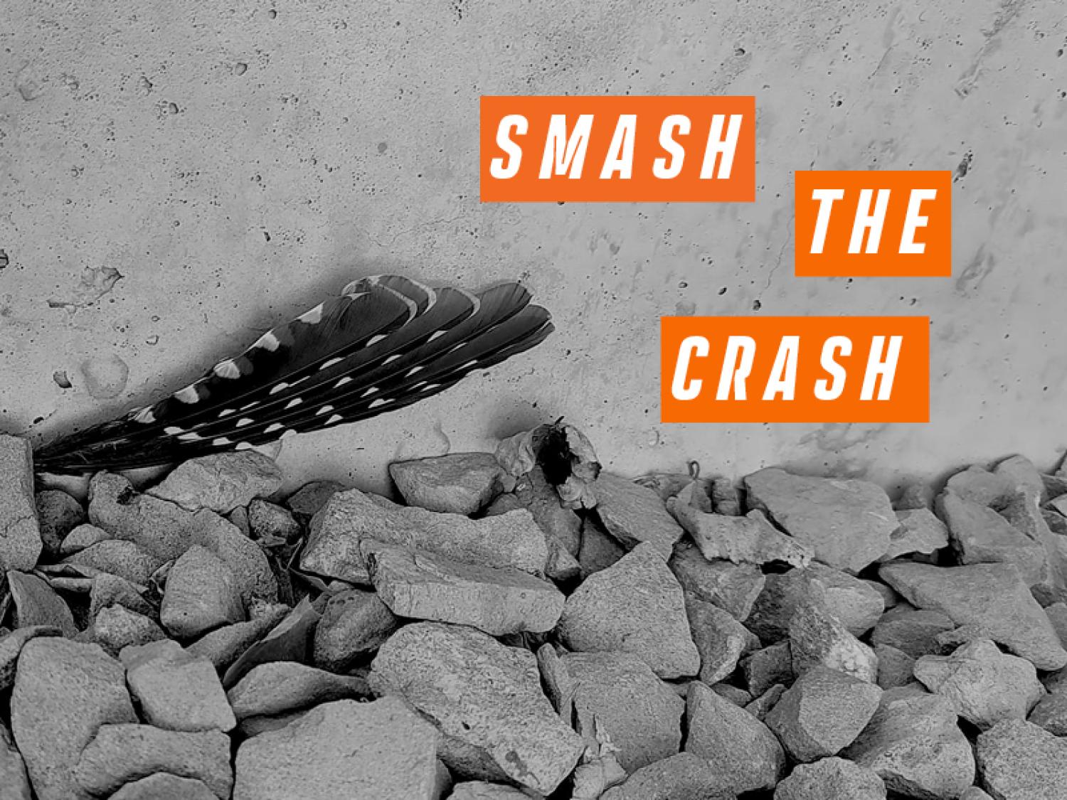Smash the Crash image