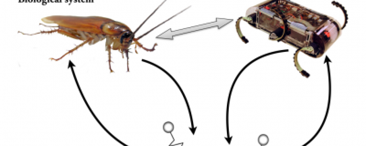Living Dynamical Systems
