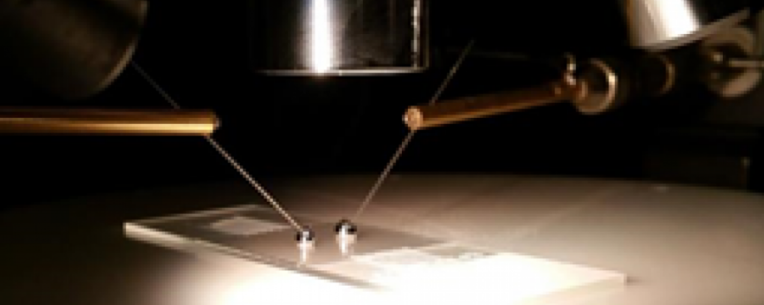 Graphene Photodetectors