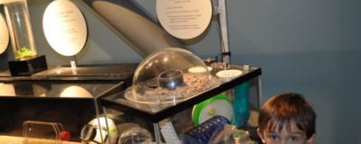 STEMcomm STEMcomm