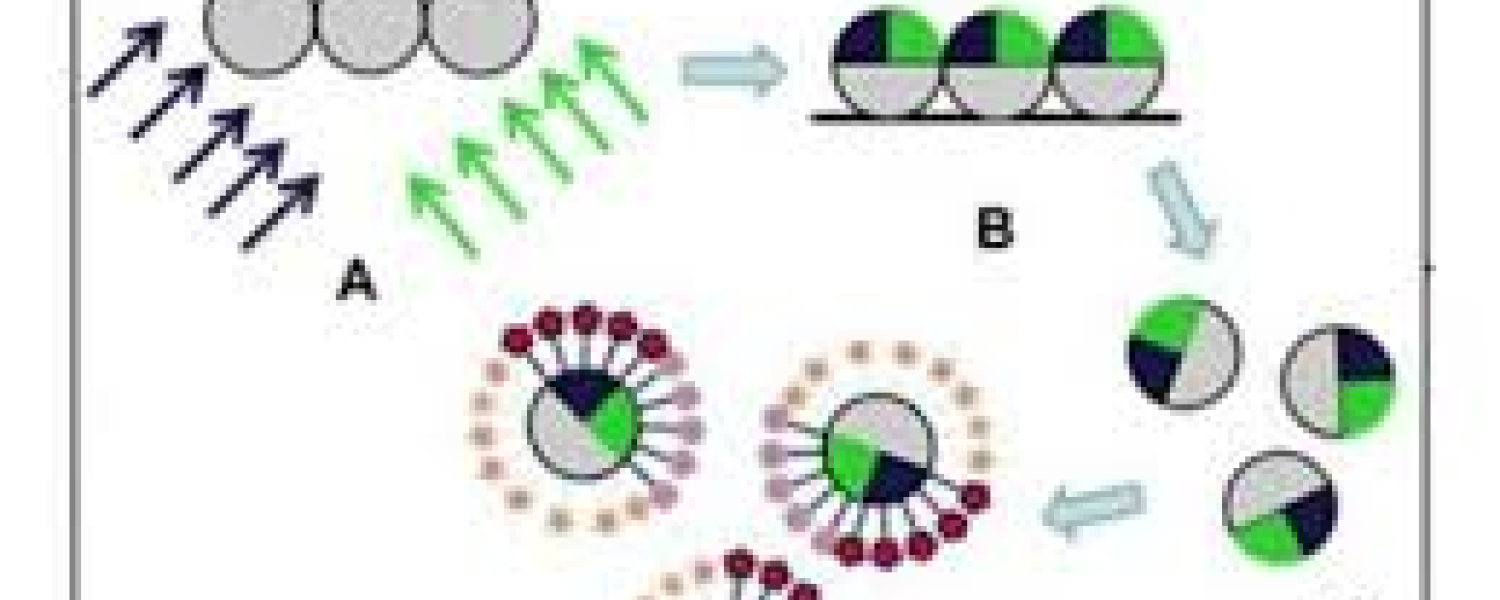 BioBots