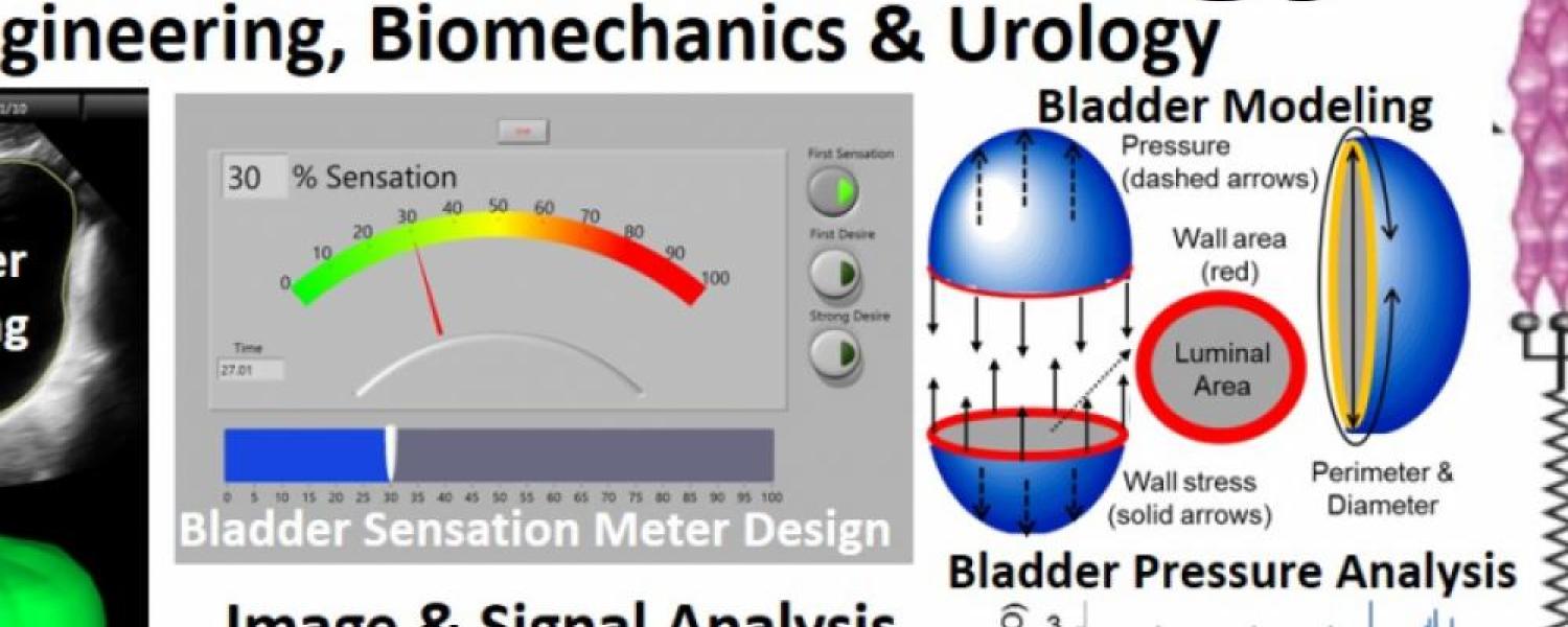 MechanoUrology' Engineering, Biomechanics, Biochemistry and Urology MechanoUrology' Engineering, Biomechanics, Biochemistry and Urology