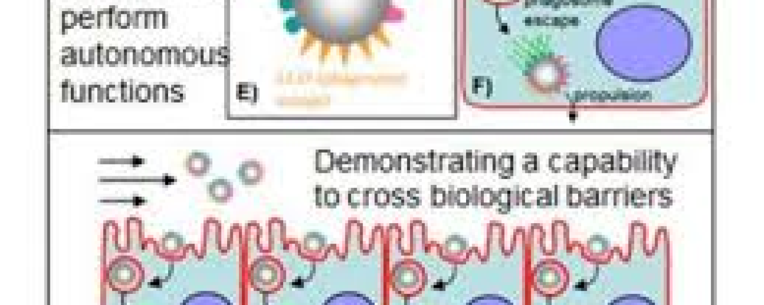 BioBots